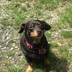 Meet your Posher, Robert